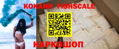 стаф Камышлов