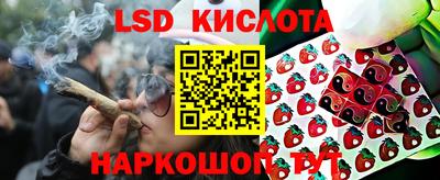 стаф Камышлов