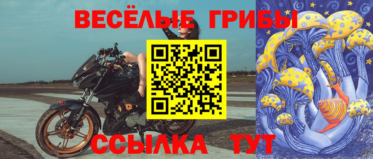 Кудымкар  Псилоцибиновые грибы ЛСД  Вход с VPN 